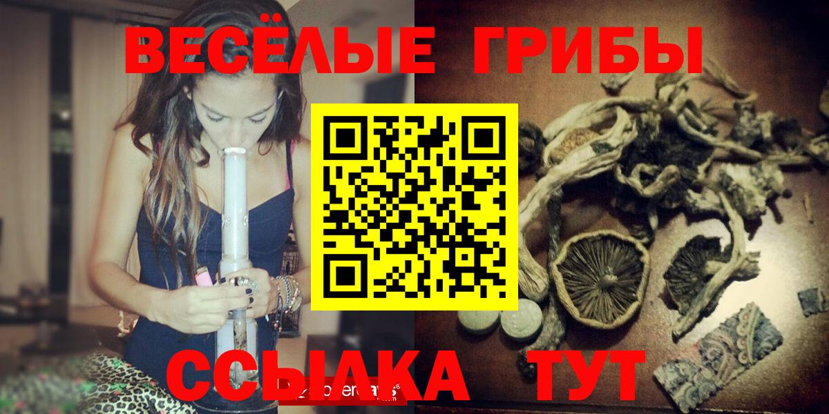 Красноармейск  Псилоцибиновые грибы Cubensis  Вход с VPN 