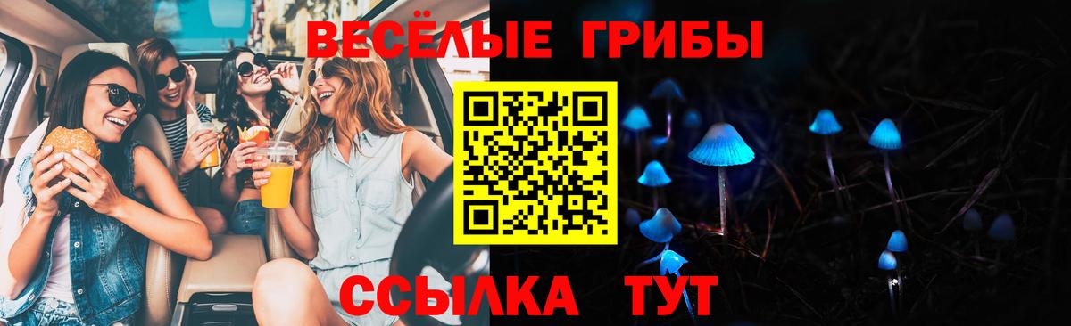 Галлюциногенные грибы Cubensis Красноармейск